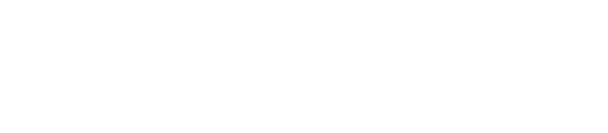 SAV Pflegeleicht